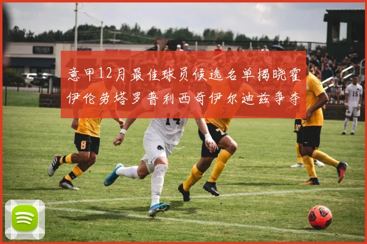 意甲12月最佳球员候选名单揭晓霍伊伦劳塔罗普利西奇伊尔迪兹争夺荣誉