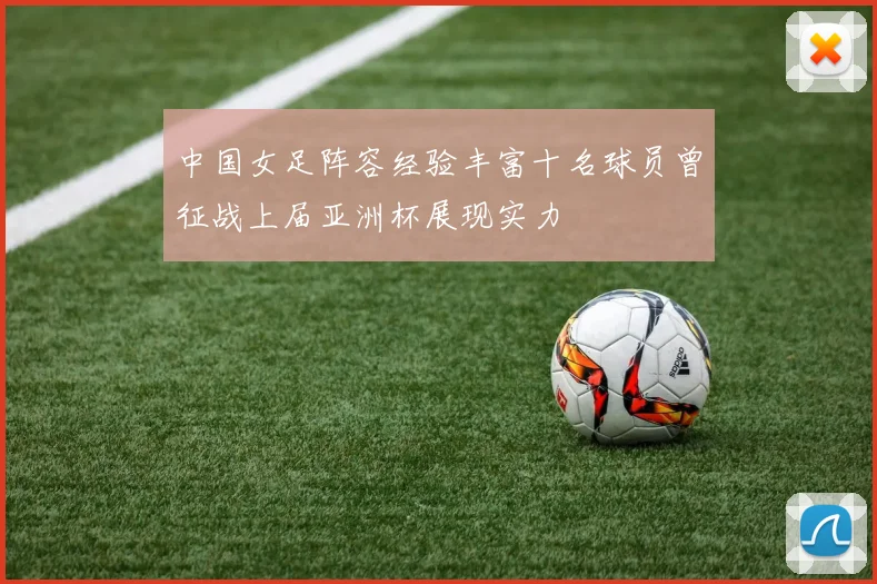 中国女足阵容经验丰富十名球员曾征战上届亚洲杯展现实力